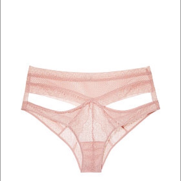 Nude VS Fishnet Lace Cutout Cheekini Panty - Picture 3 of 6